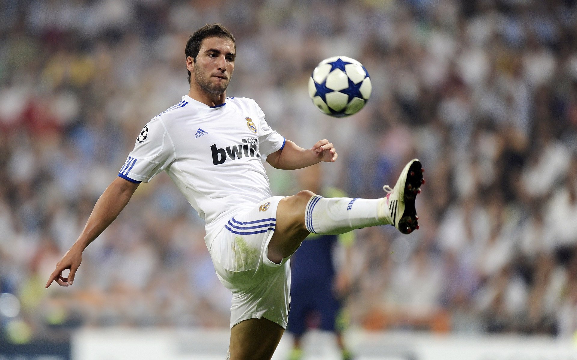 “帕布罗·马特拉：全能后卫的崛起，带领美洲狮队走向新高峰”